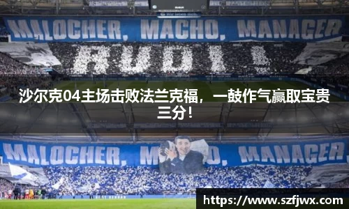 沙尔克04主场击败法兰克福，一鼓作气赢取宝贵三分！